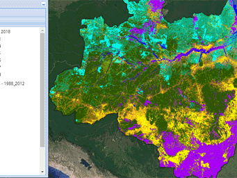 √1000以上 amazon rainforest deforestation map 2020 216285-How much of the amazon rainforest has been destroyed 2020
