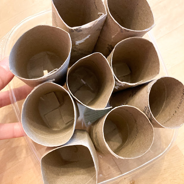 DIY Easy Cardboard Toilet Roll Seedling Pots Starting Seeds Spring Free Kids Craft