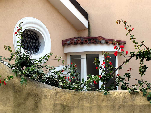 Small garden, via Sant'Jacopo in Acquaviva, Livorno