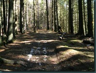 DSCN6786
