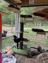 outdoor catio