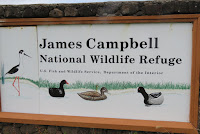 James Campbell National Wildlife Refuge, Oahu