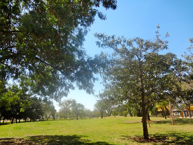 Parque Belém