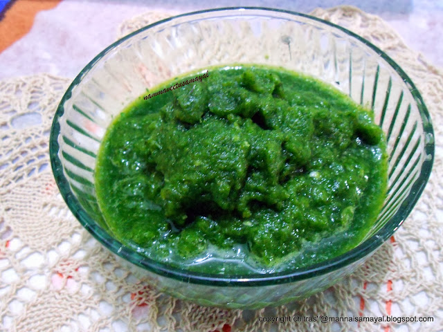 Green Coriander Seeds Chutney