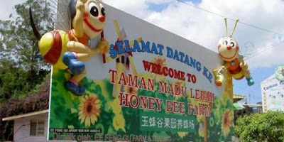 Learn habitat and enjoy the honey bee at Ee Feng Gu Honey Bee Apiary Farm, Malaysia