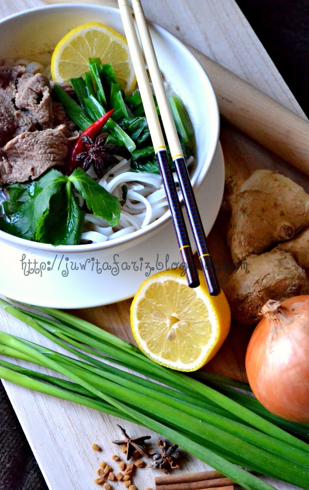 Juwita Fariz and Family: Vietnamese Beef Noodle/ Mee 