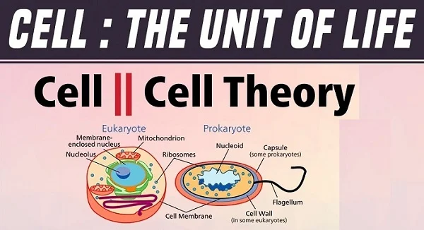 Cell The Unit of Life - Biology Short Notes 📚