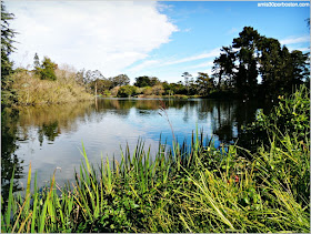 Golden Gate Park: Stow Lake & Strawberry Hill Island