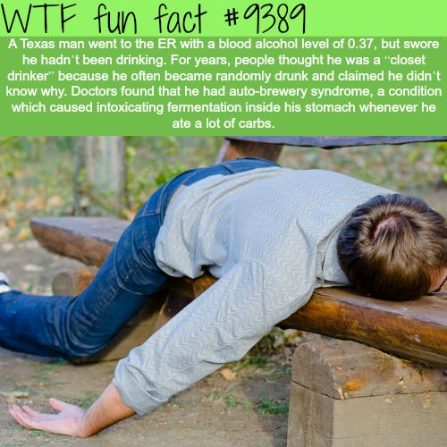 Amazing Interesting Random Facts