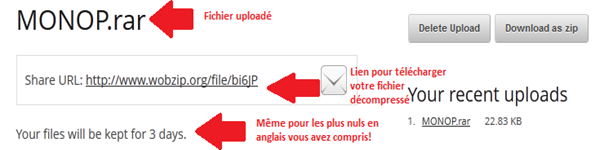 unzip online