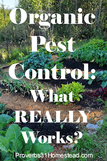 Oreganic Pest Control What Really Works