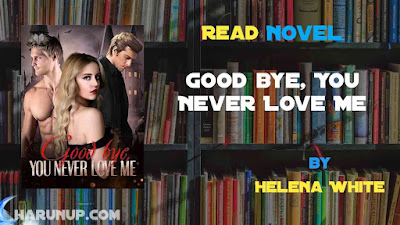 Read Good bye, You Never Love Me Novel Full Episode