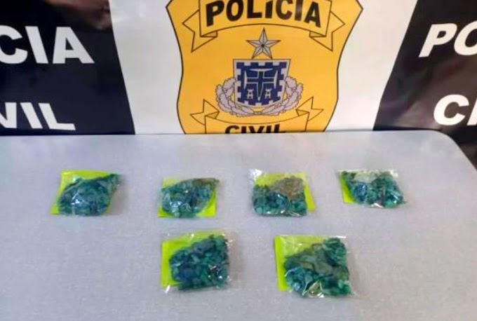 Mais de mil pedras de esmeraldas são apreendidas em operação da Polícia Civil na Bahia