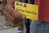 Mais de 619 mil famílias ainda precisam atualizar os dados do Bolsa Família no RN