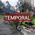 Temporal causa estragos em Maringá e região