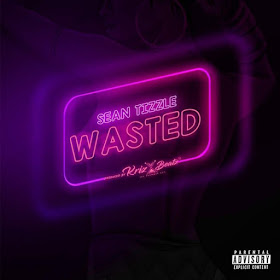 Sean Tizzle – Wasted