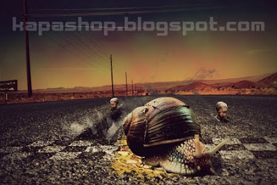 Коллаж Гонка улиток (Snail race photo montage)