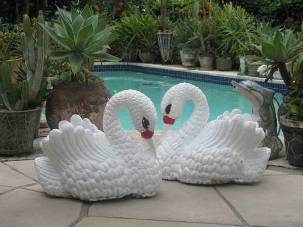 Garden Decoration Ideas