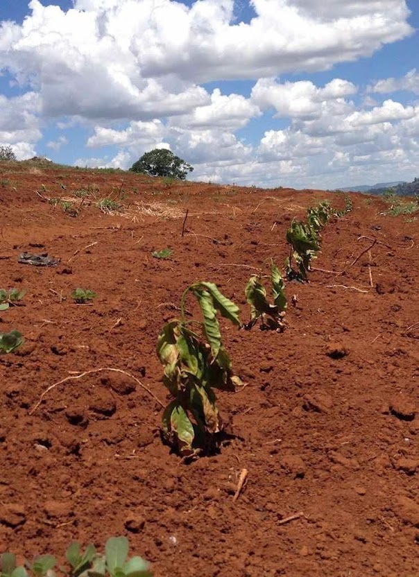 Calor e seca no Brasil nada têm a ver com  aquecimento global e outros mitos ecologistas