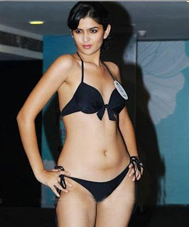 The Punjab beauty Deeksha Seth Hot bikini photos