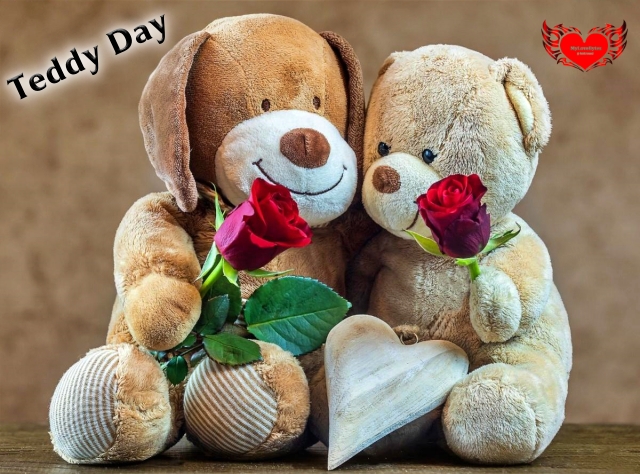 Teddy Day Greetings Wishes Messages Quotes In Hindi and English With Images