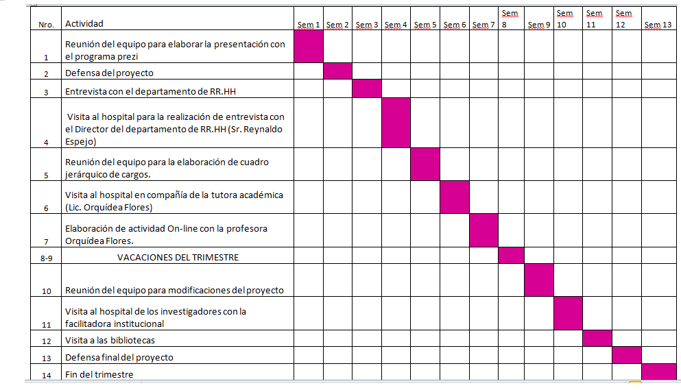 Proyecto de Estructura Organizacional