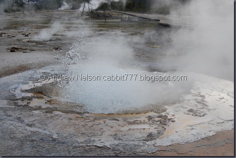 DSC_0606 DSC_0606