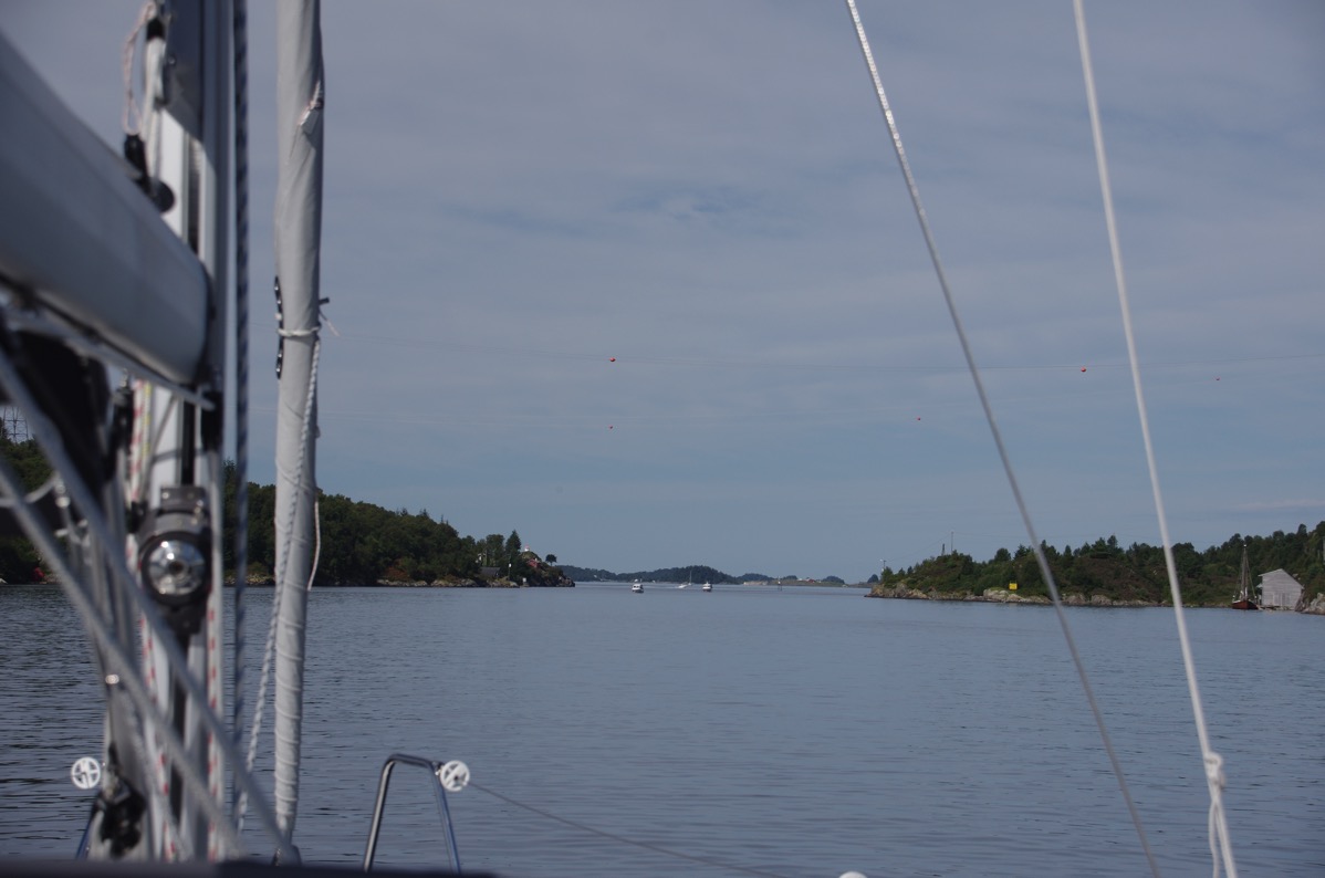 IMGP5549