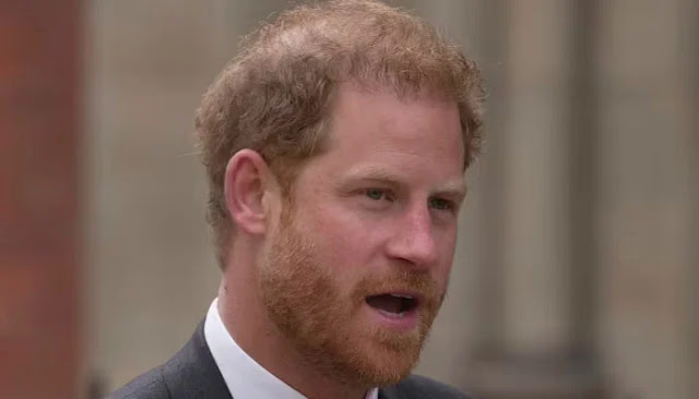 According to royal commentator and expert Daniela Elser Prince Harry Making Courtiers Ask 'When's It Stopping?