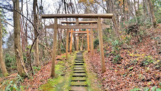 人文研究見聞録：湯神社（石薬師大明神） ［新潟県］