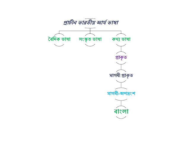 সংস্কৃতকে
বাংলা ভাষার জননী বলা যুক্