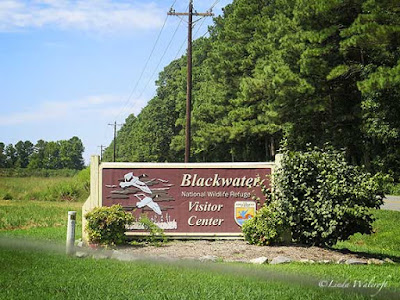 wildlife refuge sign