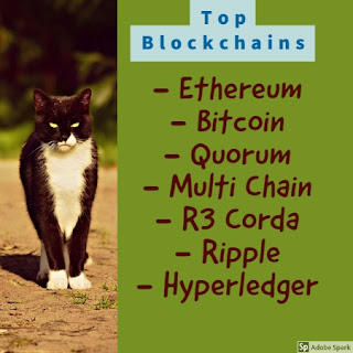top blockchains
