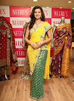 Hamsa nandini hot saree