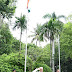 रायपुर : मुख्यमंत्री बघेल ने स्वतंत्रता दिवस के अवसर पर अपने निवास परिसर में किया ध्वजारोहण