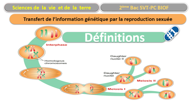 Télécharger | Définitions  | 2ème BAC SVT Biof | Transfert de l’information génétique par la reproduction sexuée  #1