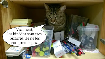 Une chatte tigrée rangée avec les stylos.