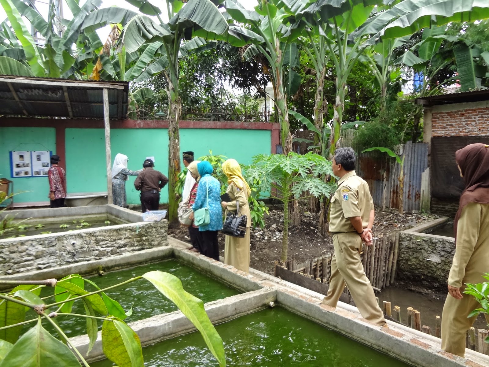 CEMPAKA BODAS