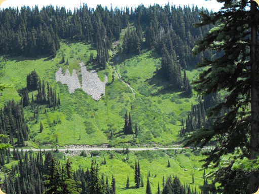Mt. Rainier 138