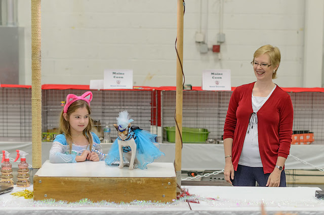 Fashion Show at the National Capital Cat Show