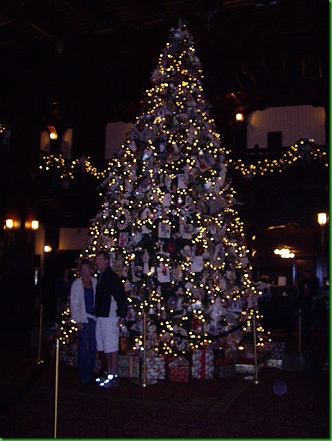IMGP0539