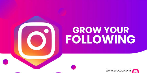 Insta For Business: How to Grow Your Instagram Following In 2023