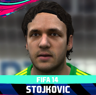 FIFA 14 Faces Vladimir Stojković by Rale