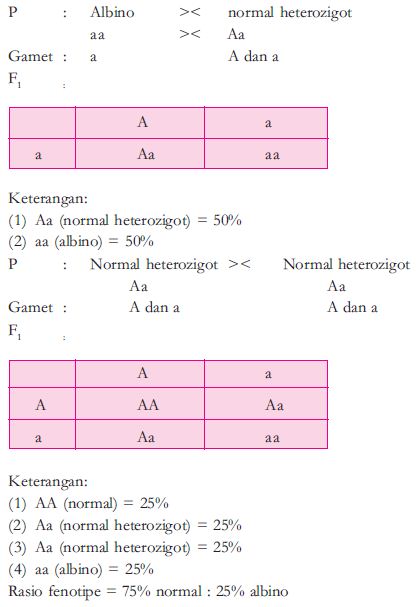 Pengertian dan Contoh Persilangan Dihibrid dan Monohibrid dalam Ilmu Genetika