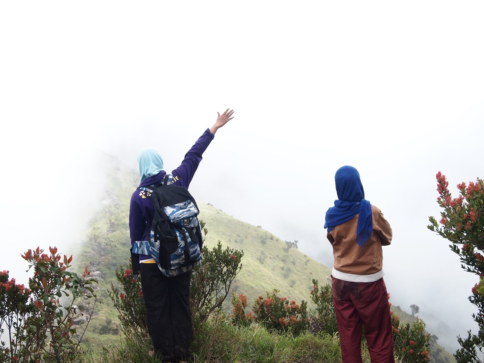 Celoteh Petualang Pengalaman Pertama Kali Mendaki Gunung Merbabu