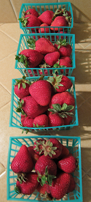 Four baskets of Sorted Strawberries