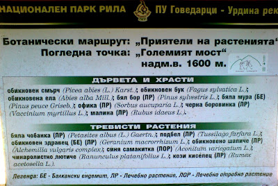 Ботанически маршрут край Урдина река