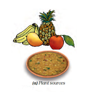 Plant Source
