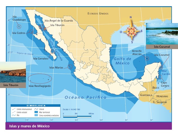 Convoca el titular de la SCT a la IP a incorporarse al “rescate del mar mexicano”