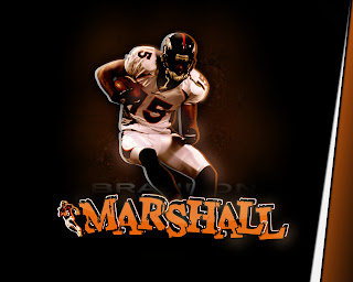 Brandon Marshall Wallpaper